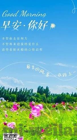 2014世界杯罗本训话-罗本训话，2014年世界杯的激情瞬间