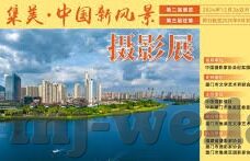 埃及和南非足球比分-埃及VS南非，绿茵场上的北非与南非荣耀对决与比分背后的故事