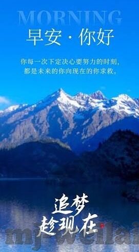 足球竞彩比分直播彩客网-足球竞彩比分直播新体验，彩客网如何成为球迷的数据中枢与娱乐港湾